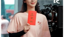 杨紫电视剧大全,演绎人生百态，展现青春风采