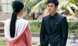 王媛可电视剧,演绎传奇人生，绽放荧屏魅力